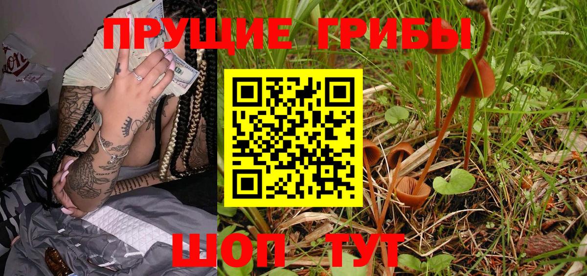 Галлюциногенные грибы Psilocybe  Вход с VPN  Астрахань  Галлюциногенные грибы MAGIC MUSHROOMS 